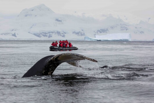 Antarctic Peninsula