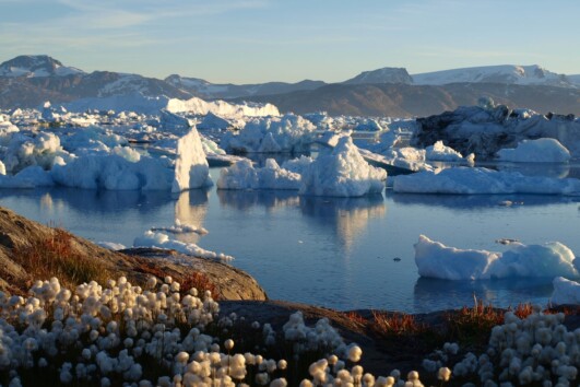 East Greenland 2026