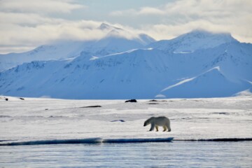 Svalbard Adventure with M/S Stockholm 2025